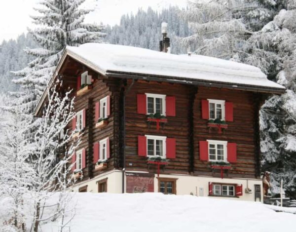 Chalet Bear