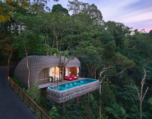 Bird’s Nest Pool Villa