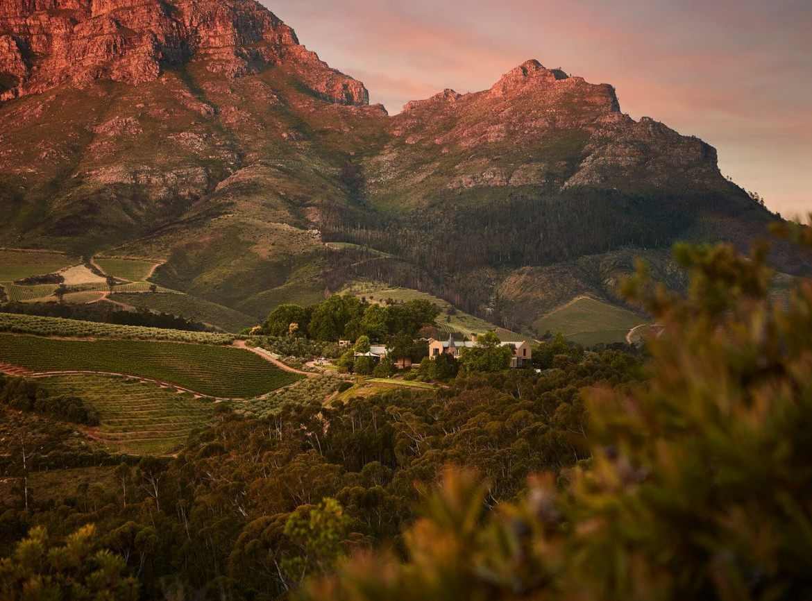 10 Best Vineyards on the Cape South Africa