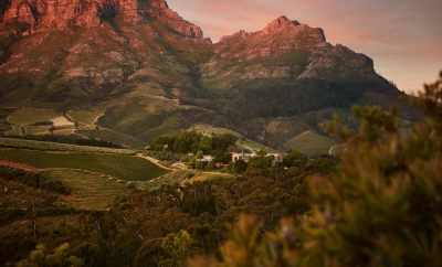 10 Best Vineyards on the Cape South Africa