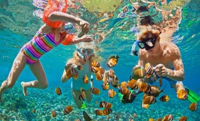 10 Best Places to go Snorkeling in Turks and Caicos