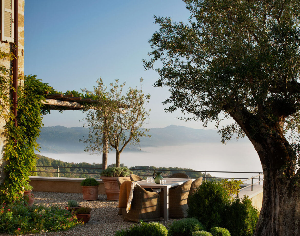 Mindful Mornings: Truffle Hunting & Yoga on the Tuscany–Umbria Border