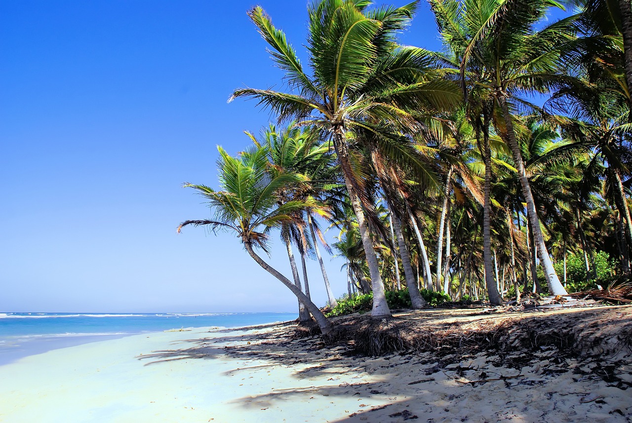 Punta Cana Villas - Haute Retreats