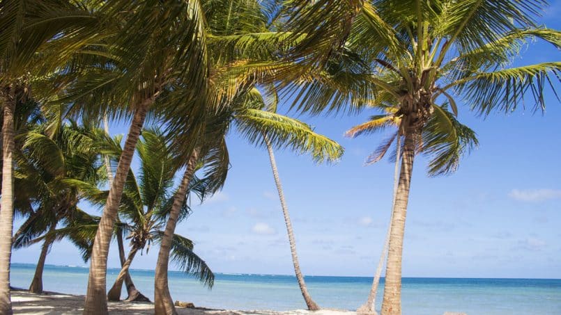 Cabeza de Toro Beach in Punta cana