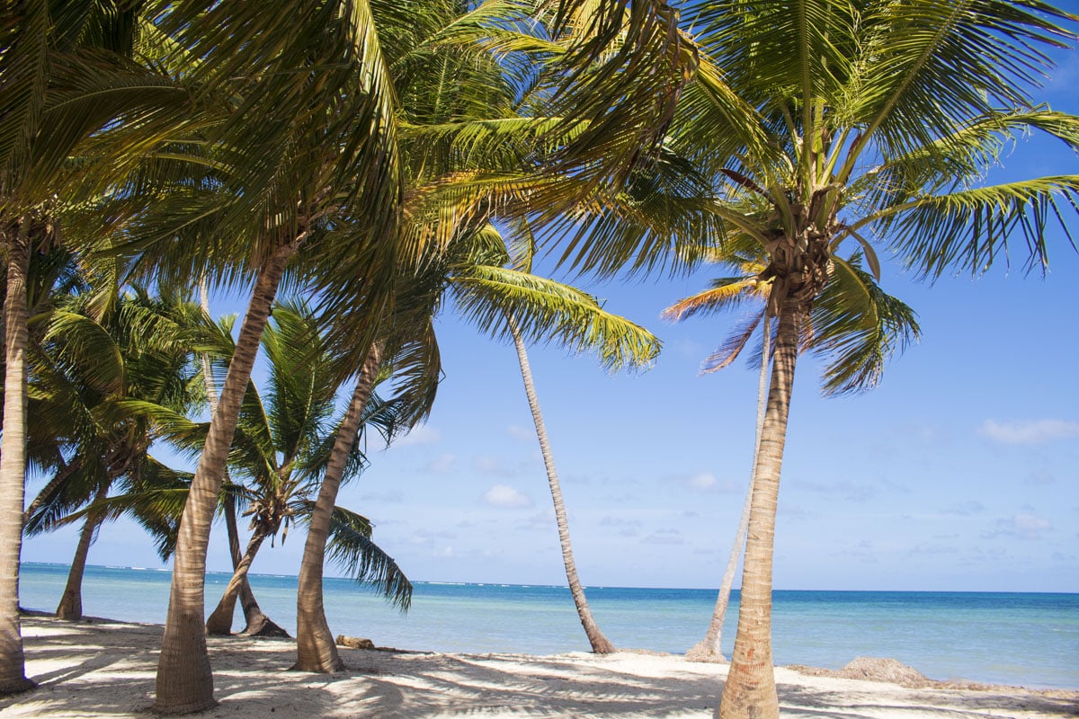 Cabeza de Toro Beach in Punta cana 