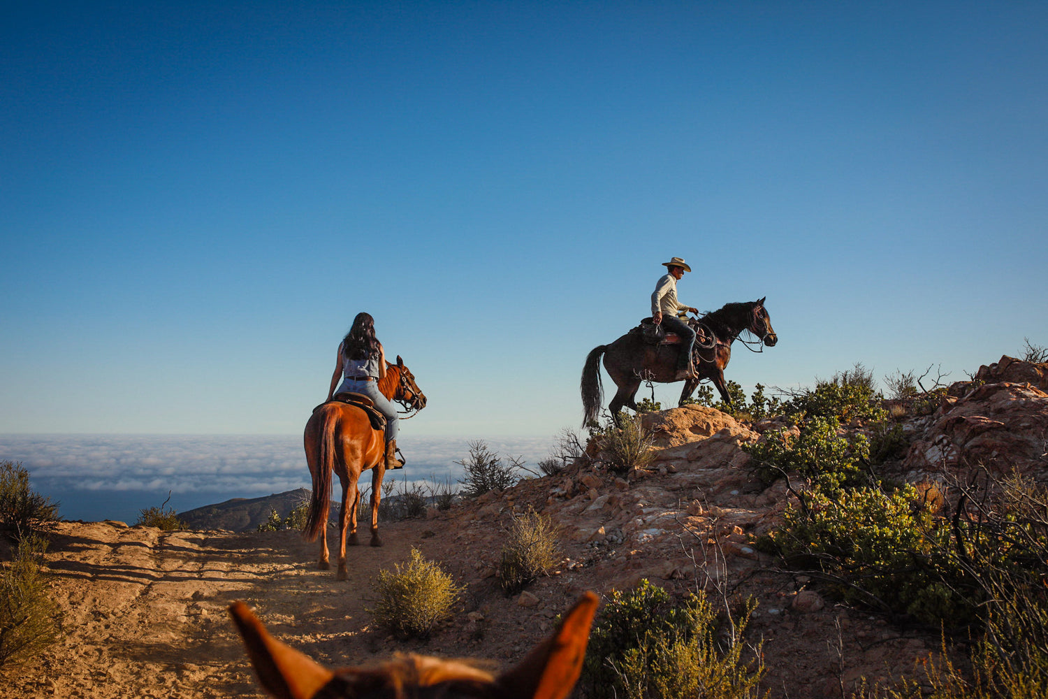 Go Horseback Riding