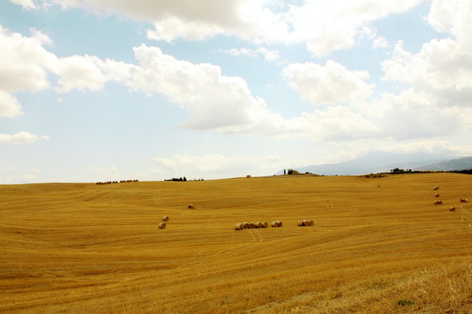 Val D'Orcia Tuscany