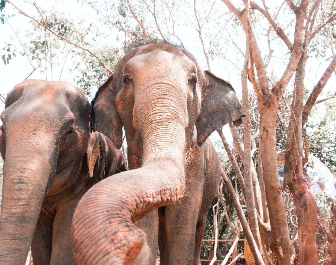 nick-linnen-ifLWqa0bMoE-unsplash