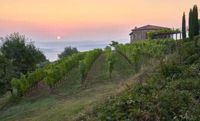 New Luxury Rentals in Tuscany where to Enjoy Your Summer 2024