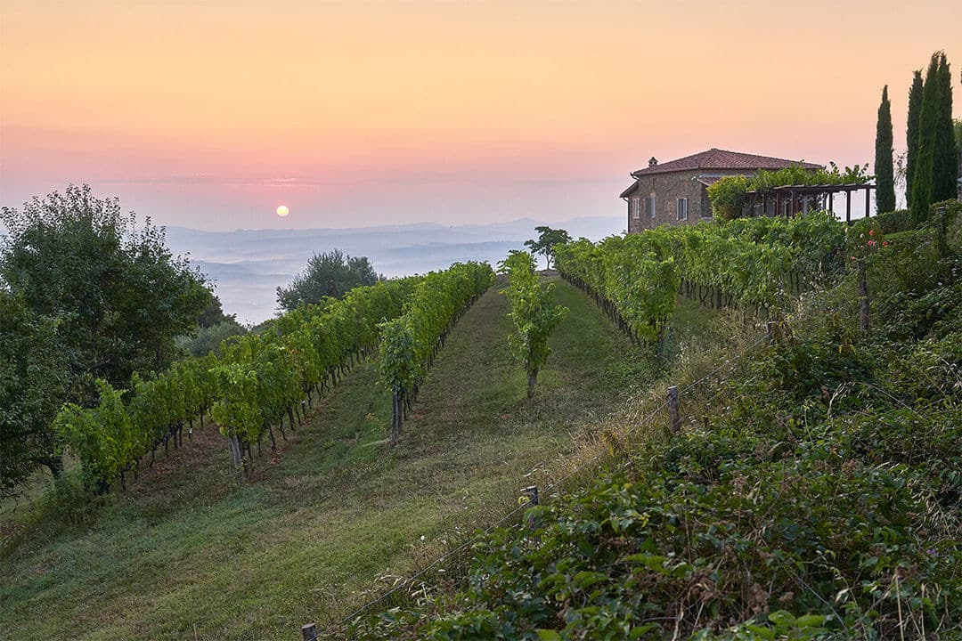 holiday villas for the summer in tuscany