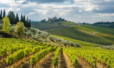 From Vineyards to Villas: Where to Stay in Tuscany for a Perfect Holiday