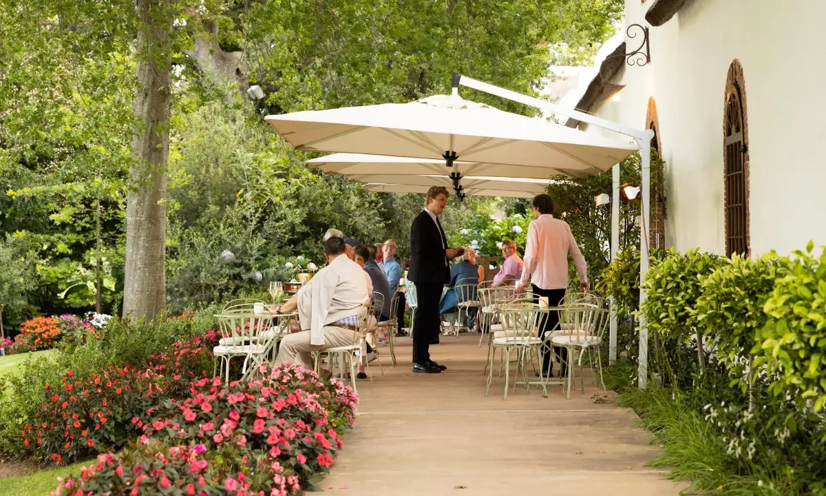 10 Best Vineyards on the Cape South Africa - rust en vrede