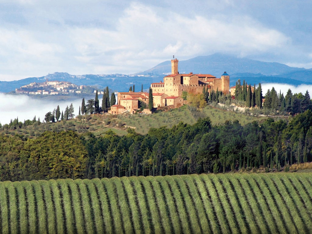 best vineyards in tuscany