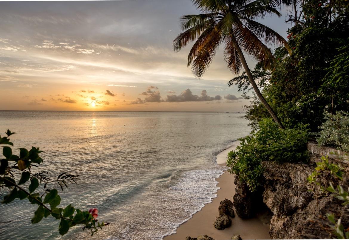 Tropical beach at sunset with palms in Barbados