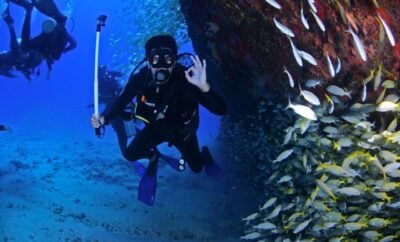 Scuba Diving in Turks and Caicos: A Diver’s Paradise