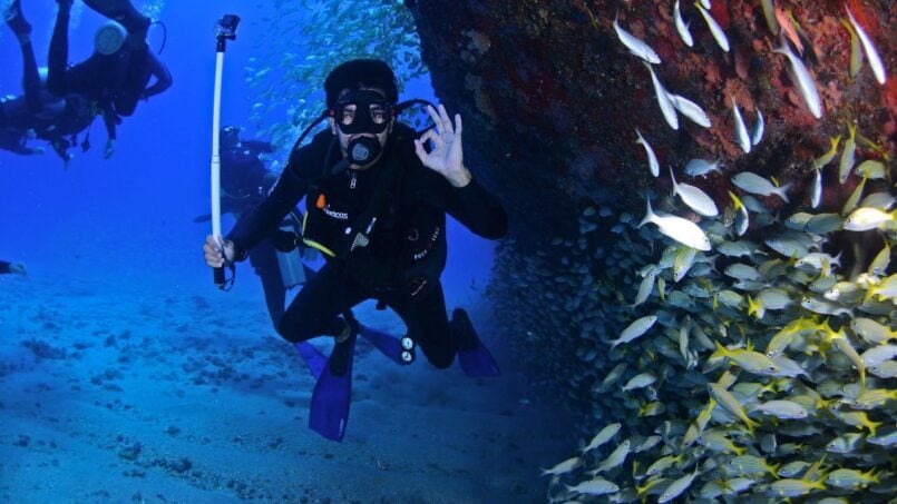 scuba diving in Turks and Caicos