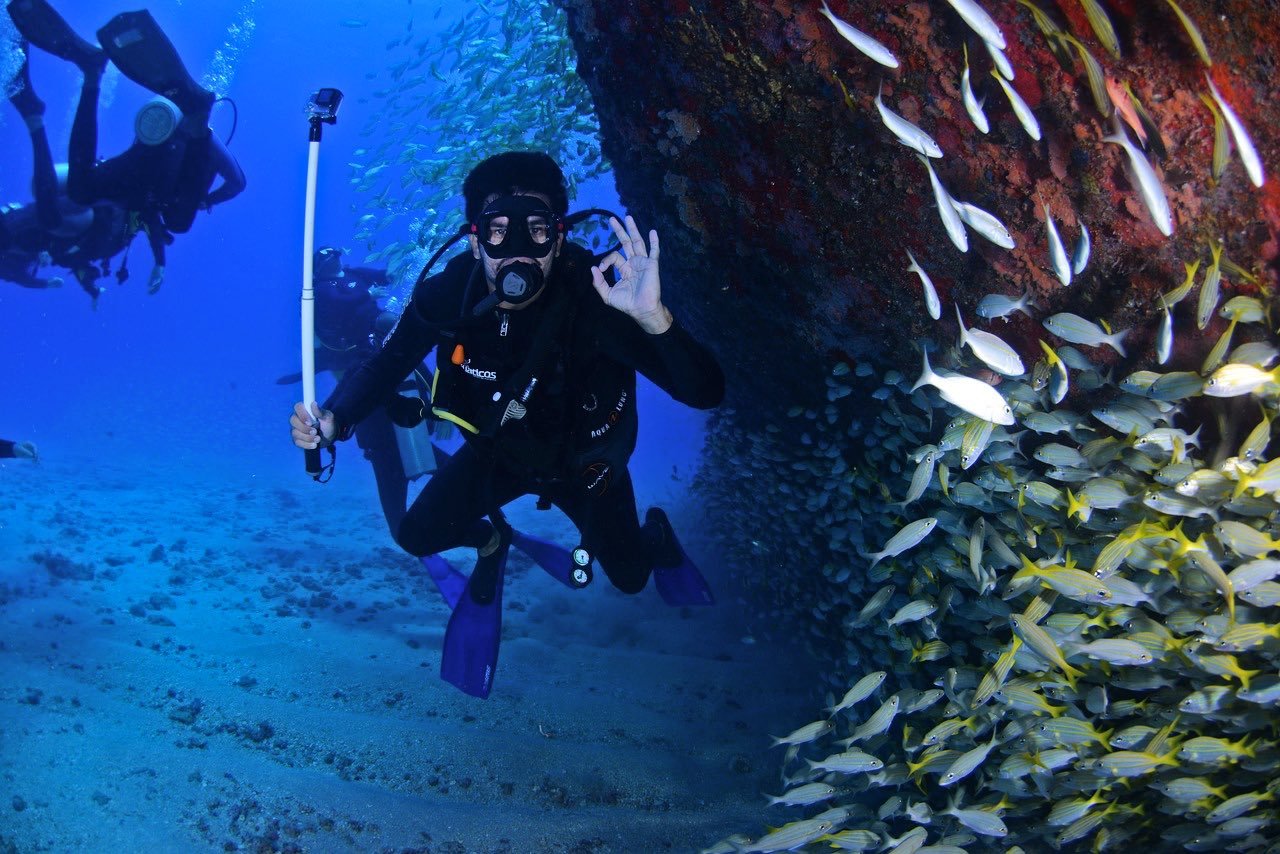 scuba diving in Turks and Caicos