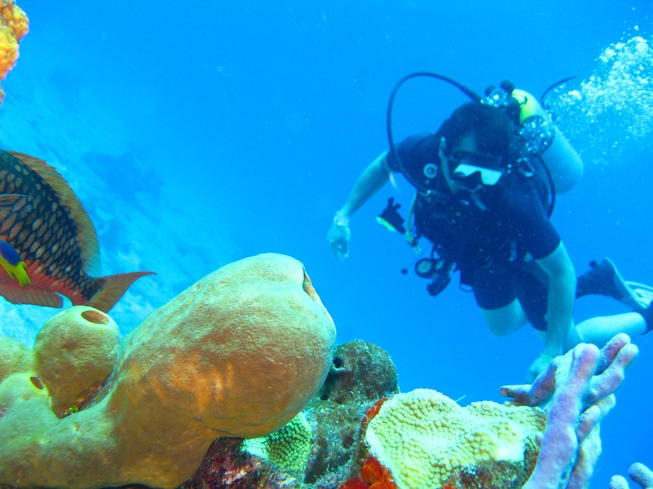 scuba diving in Turks and Caicos 