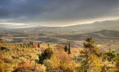 Unforgettable Family Activities in Tuscany: From Painting Like a Renaissance Master to Truffle Hunting