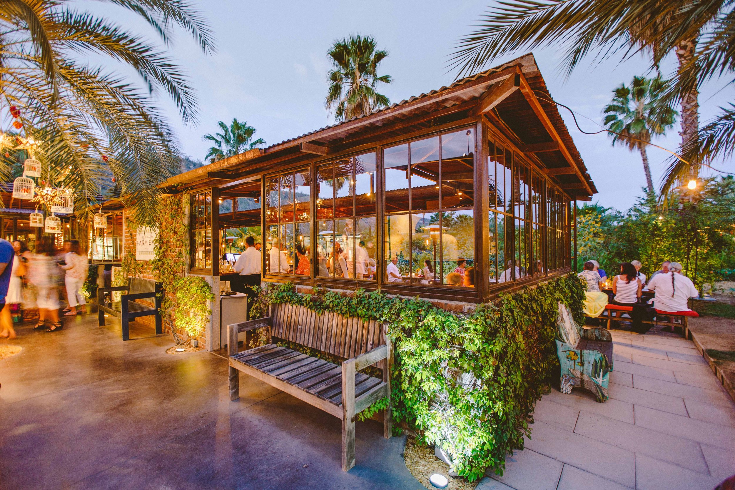 things to do in cabo