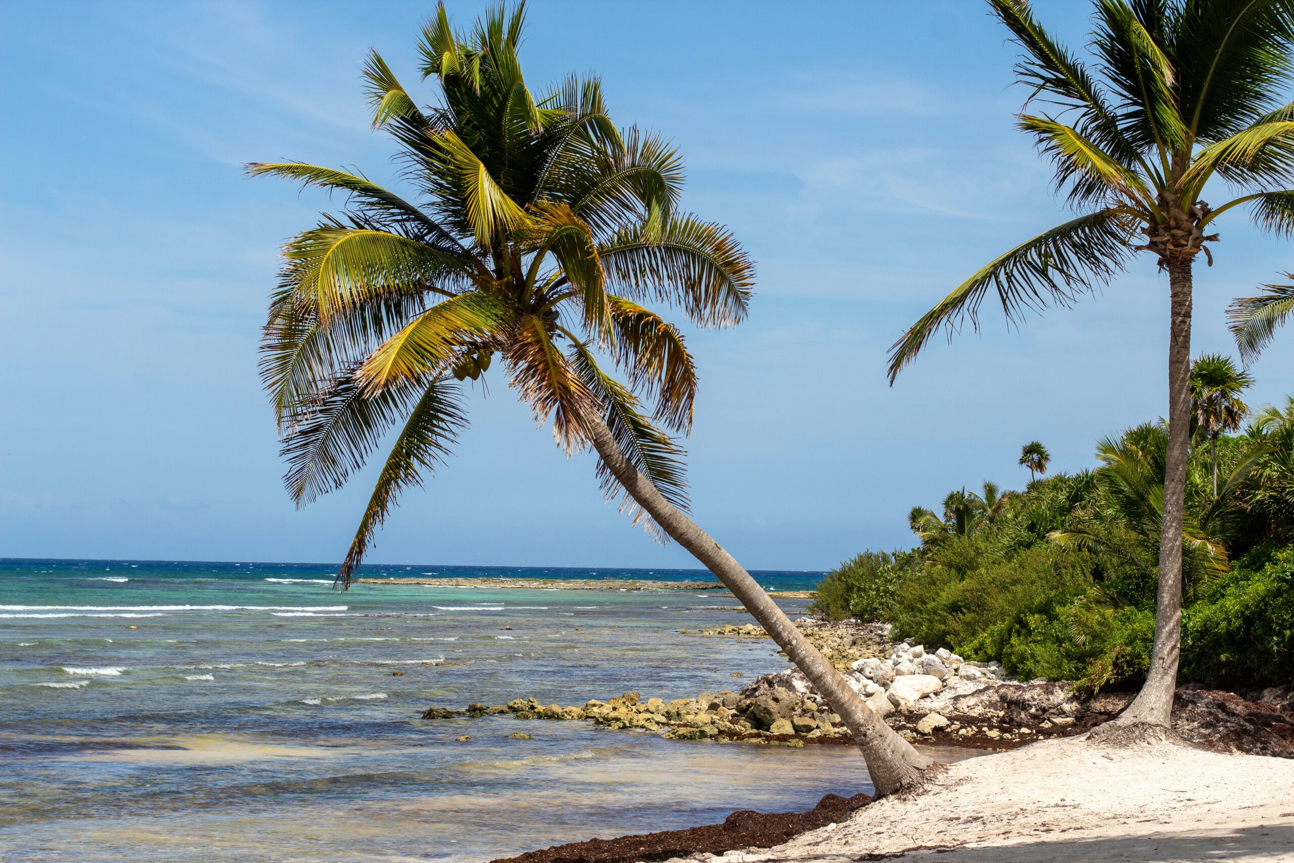 Eco‑Luxe: Sustainable Jungle Luxury Villas Riviera Maya 5 Eco‑Luxe: Sustainable Jungle Luxury Villas Riviera Maya - andres gimenez SBUXRshkQLc unsplash scaled