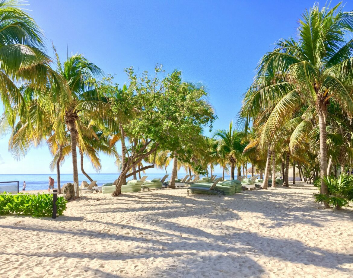 Eco‑Luxe: Sustainable Jungle Luxury Villas Riviera Maya