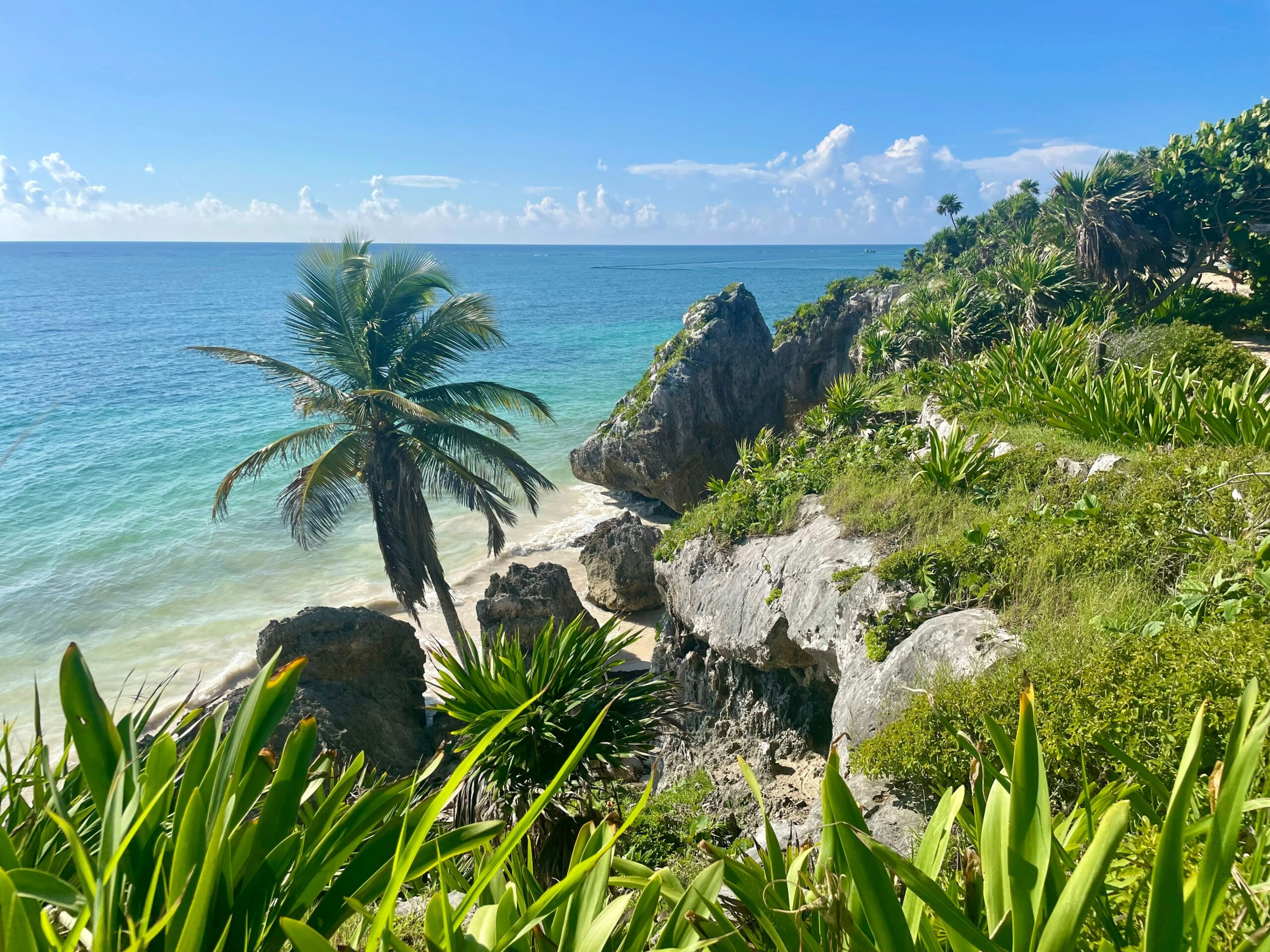 Eco‑Luxe: Sustainable Jungle Luxury Villas Riviera Maya 1 Eco‑Luxe: Sustainable Jungle Luxury Villas Riviera Maya - sylvia kania McvYFh2xT9E unsplash scaled