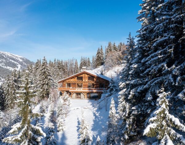 Domaine de l&rsquo;Orme among snow-covered trees near Meribel