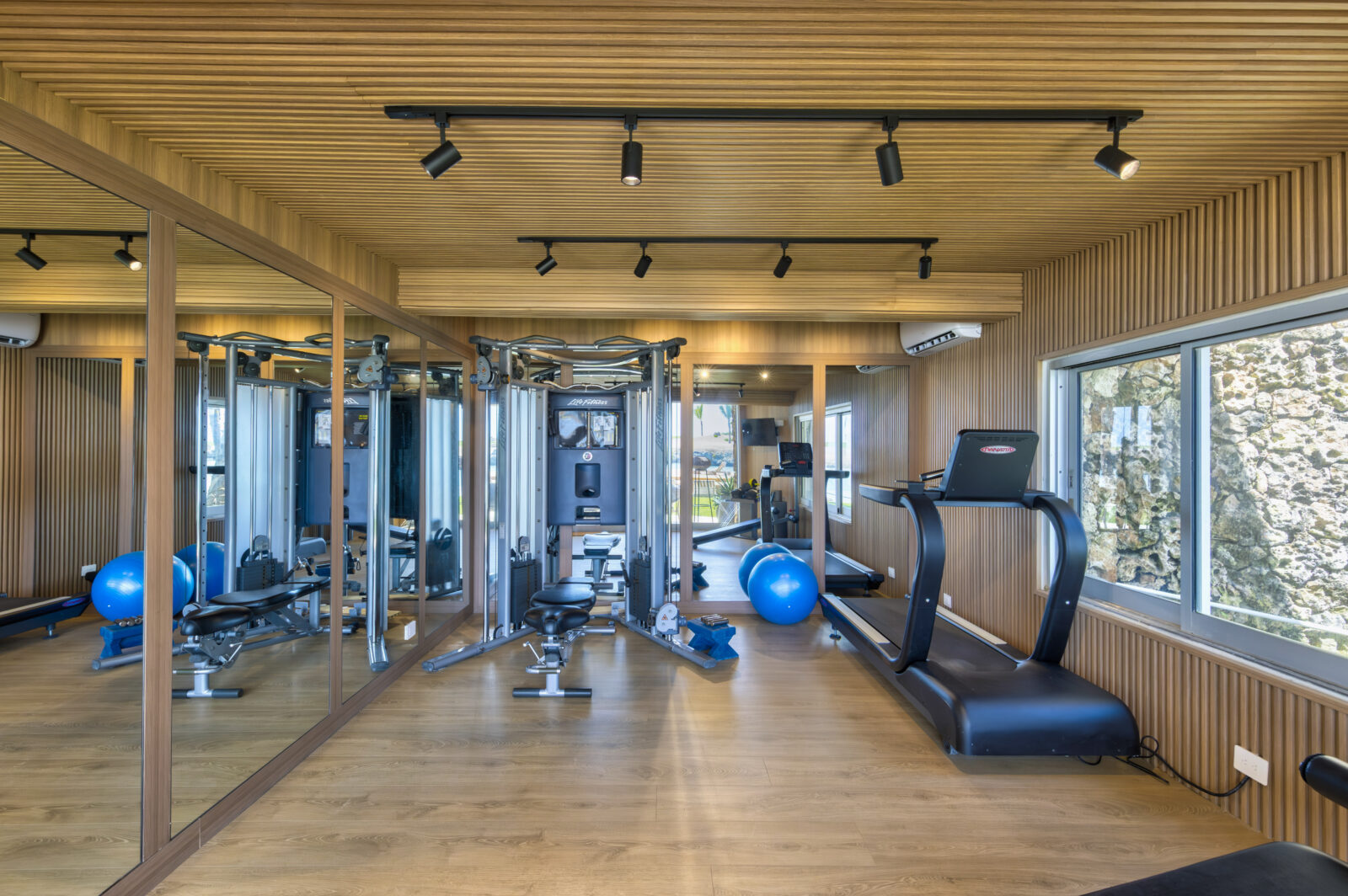 Top 12 Punta Cana Villas With Private Gym 7 Top 12 Punta Cana Villas With Private Gym - F30A1265 6 7