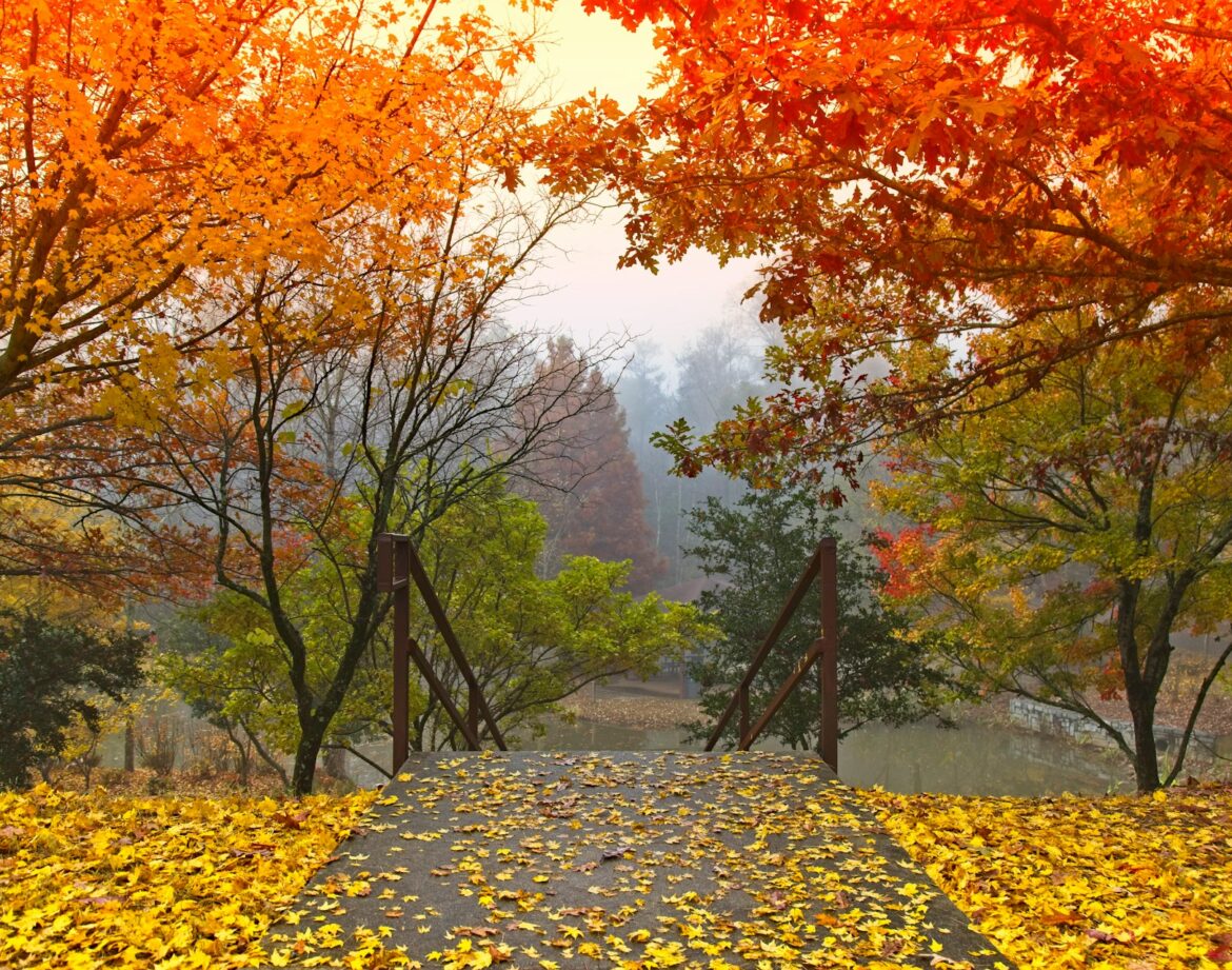 Where to Go in October: Trending Places Now