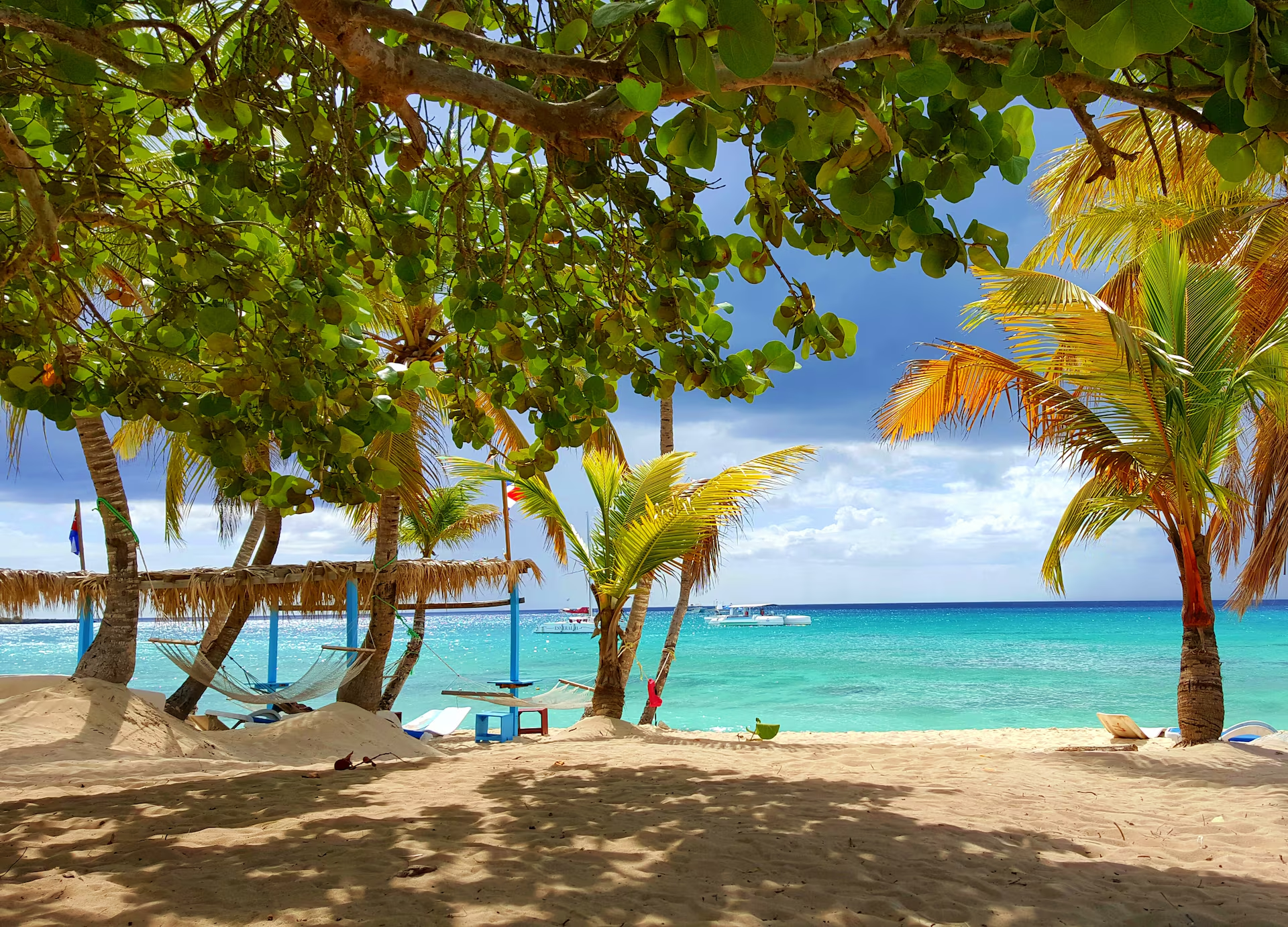 Beachfront Caribbean Vacation Rentals with Concierge 7 Beachfront Caribbean Vacation Rentals with Concierge - image 1