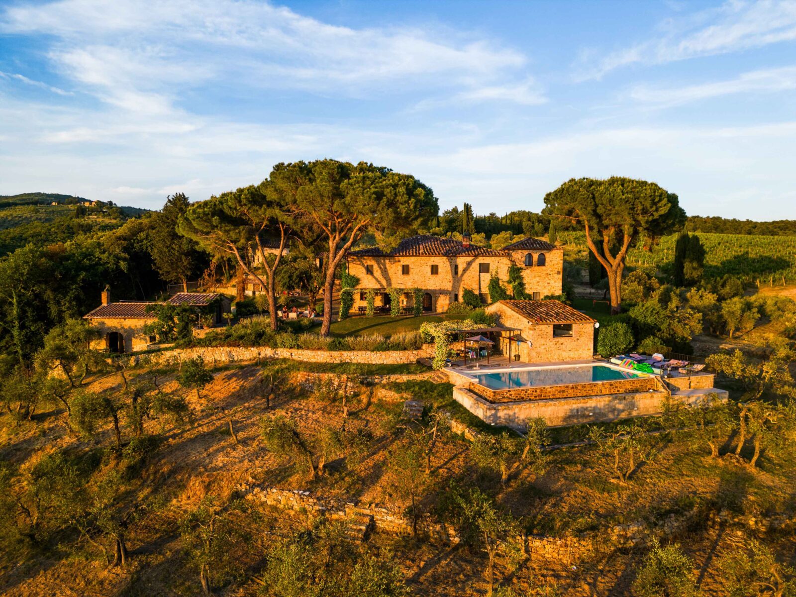 Rustic villa surrounded by olive trees. Villa Zietta Tuscany
