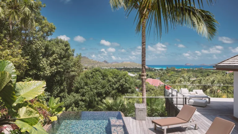 Quiet Luxury Villas for Wellness Retreats: Our Handpicked Hideaways for Deep Relaxation - st barth villa rental VILLA SENNA STBARTS Haute Retreats POOL TERRACE 1.jpg