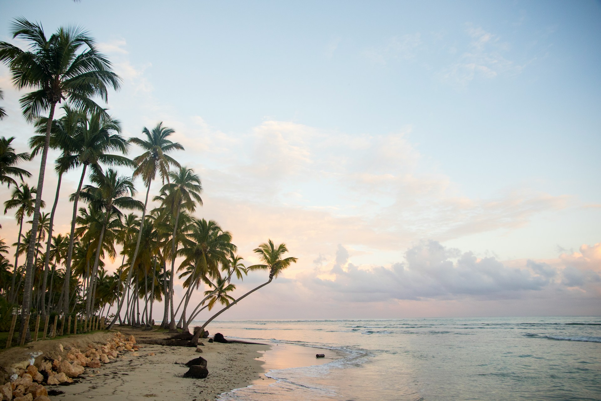 Palm-lined Caribbean beach with turquoise water at golden hour