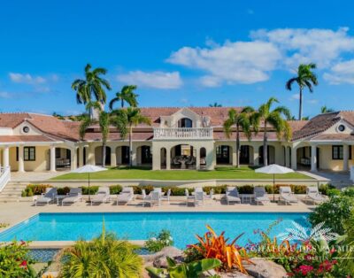 Le Chateau des Palmiers 6 BD