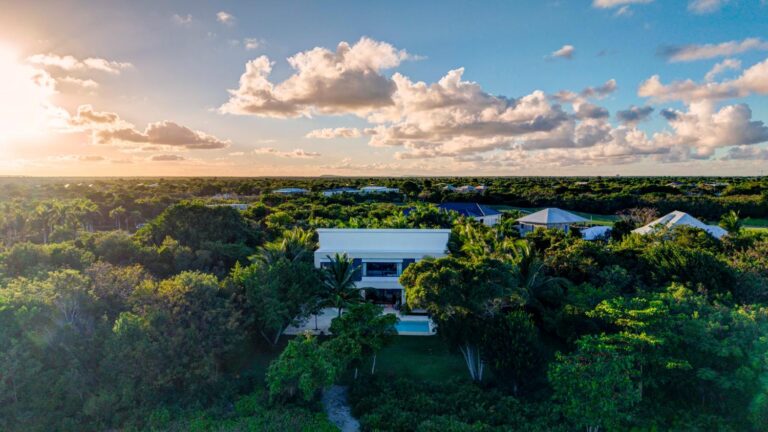 Lush greenery with modern villa backdrop