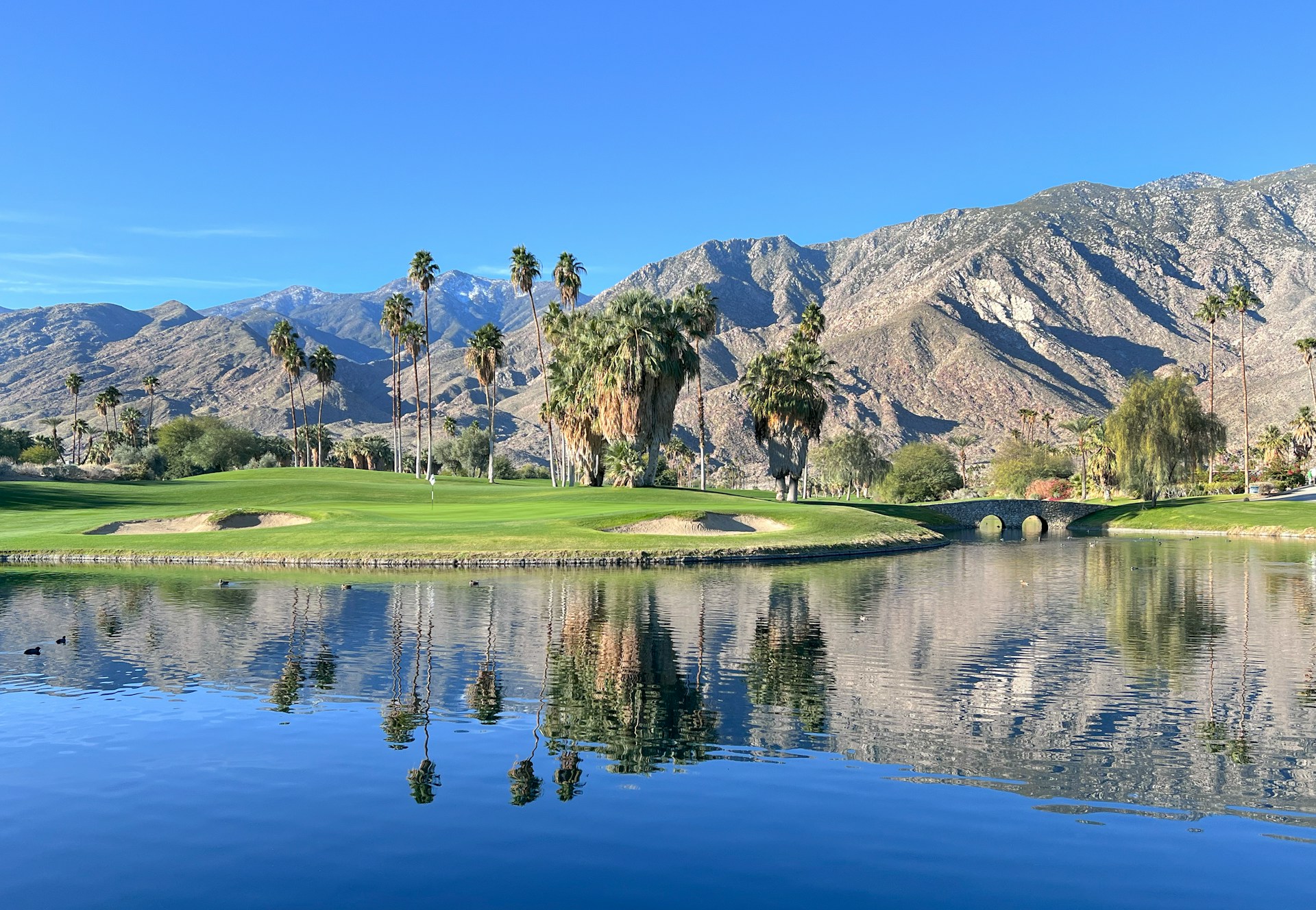 Best Things to Do in Palm Springs With Kids - Haute Retreats