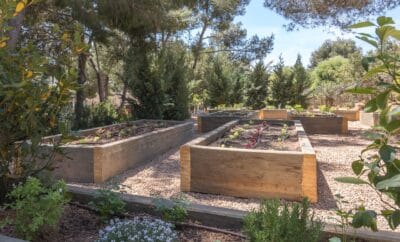 Ibiza Villa Holidays: Chef Dinners, Yacht Days and Total Discretion
